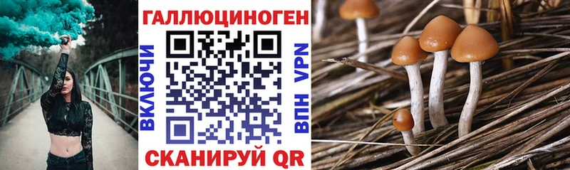 Галлюциногенные грибы MAGIC MUSHROOMS  купить закладку  Харабали 